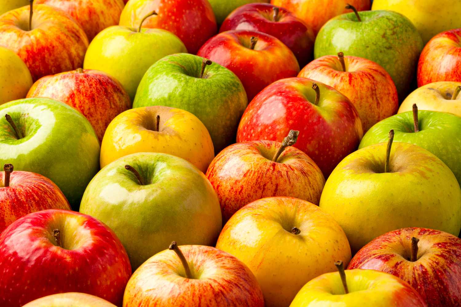 A-Feast-of-Apples-FT-2-MAG1123-980271d42b1a489bab239b1466588ca4