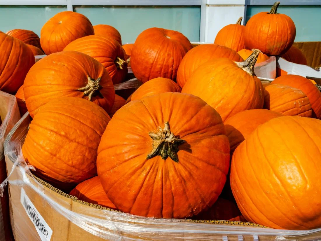 a-bunch-of-pumpkins-in-a-box