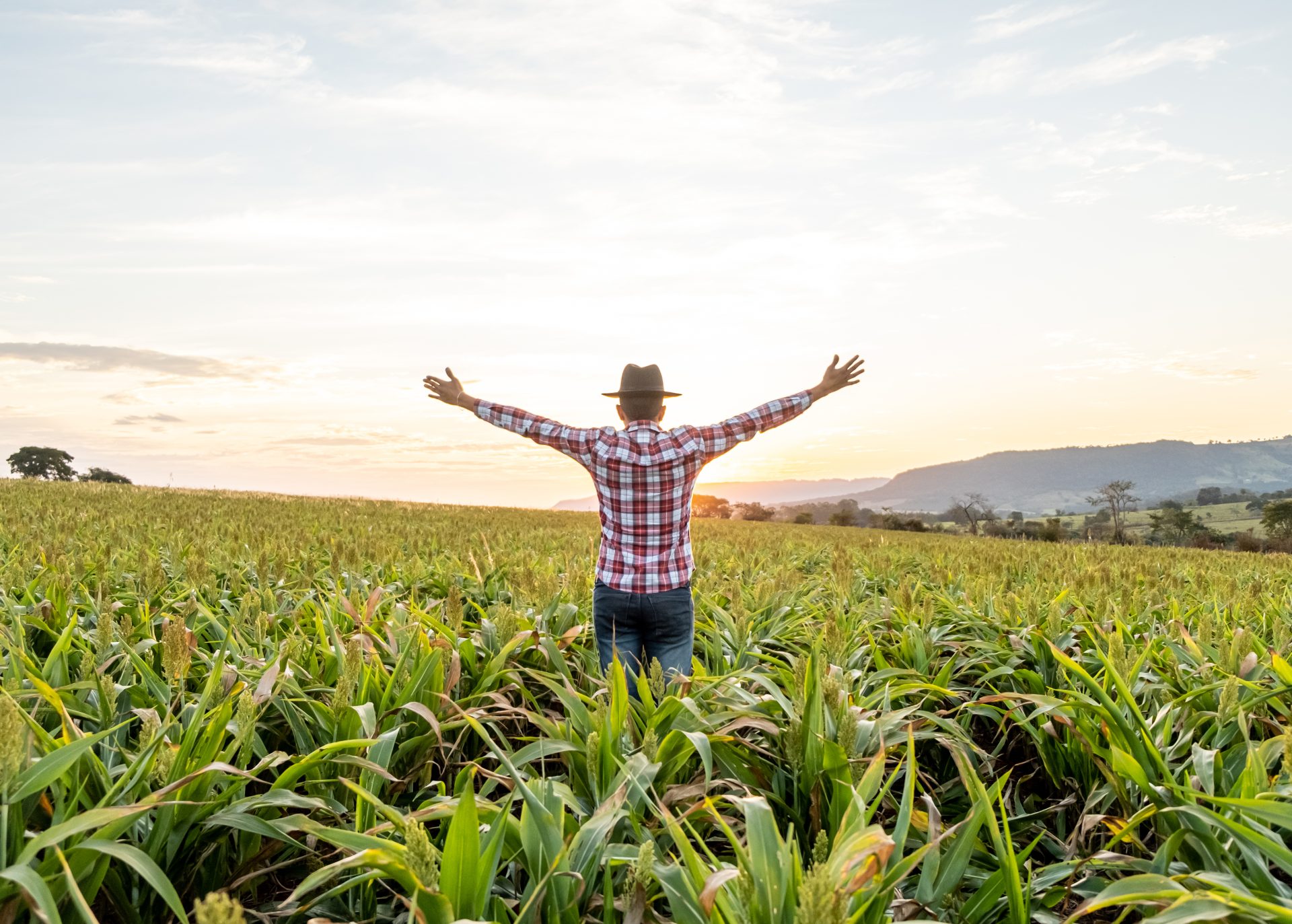 happyfarmer